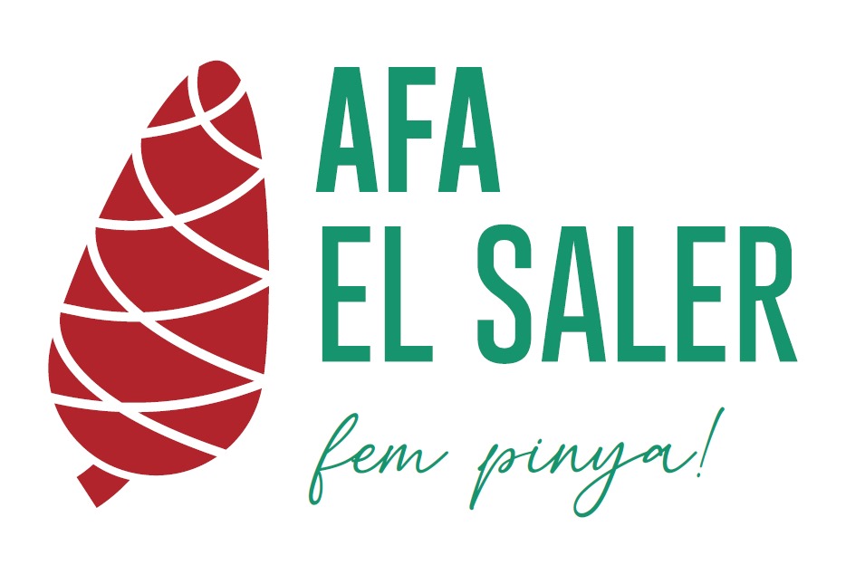 Situació actual del servei de transport escolar